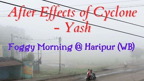 Foggy Summer Mornings - Haripur (WB) - After effects of Cyclone Yash