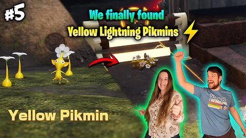 We Finally got the Yellow Pikmin! - Pikmin 4 Gameplay Coop