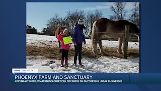 Good Morning Maryland from the Phoenyx Farm and Sanctuary