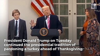 Trump Pardons Thanksgiving Turkeys, Can't Resist Making Joke About Obama at the Same Time