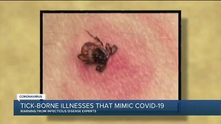 Some tick-borne illnesses have similar symptoms to COVID-19 – here's what you need to know