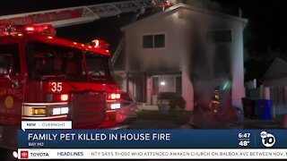 Family's pet dies in Bay Ho house fire