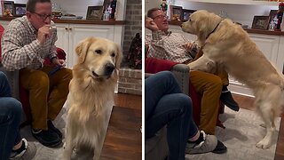 Jokester Family Loves To Fool Around With Their Playful Dogs