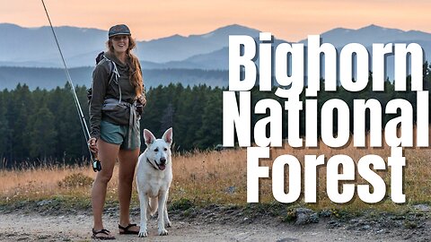 The Bighorn National Forest - Travel Tips