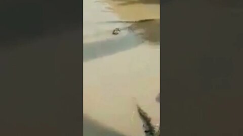 Tak terduga Penyeberangan desa pasir Mayang tenggelam dan memakan 1 korban