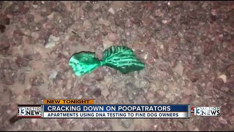 Cracking down on 'poop-a-trators' in Las Vegas apartments