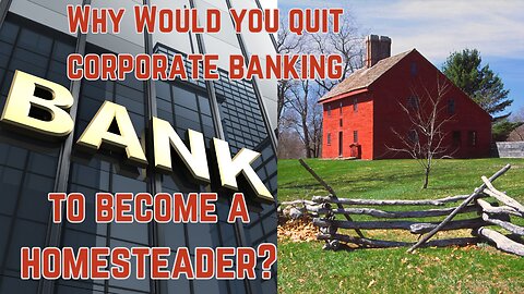 Ep. 24 Why Would You Quit Big Banking to be a homesteader?