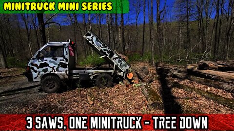 Mini-Truck (SE04 E16) Comparing 3 electric chainsaws – Tree down, mini goes to work