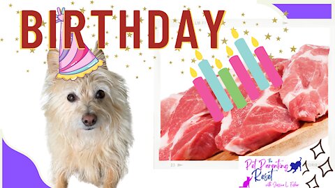 My Dog's Birthday Dinner - Happy 8th Birthday Kimberly!