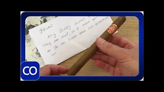 Cuban Partagas Cigar Cut Open Real Or Fake?