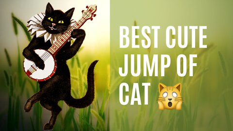 cute cat best jump