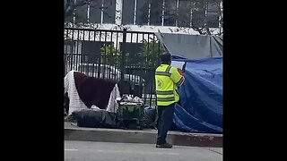 Los Angeles: What is the sanitation worker doing?