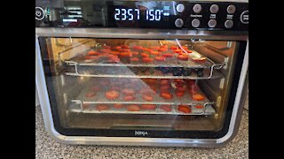 Ninja Foodi XL Pro Air Oven Dehydrating Kit Review, vs No Kit