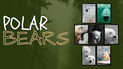 The Secret Life of Polar Bears | Arctic Giants