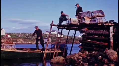 [1950] Fishing Lobster in Canada Prince Edward or Nova Scotia?! - Enhanced by AI Tech to 4k 60fps