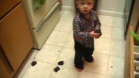 "Cute Toddler Boy Pulls Down Brownies All Over Kitchen Floor"
