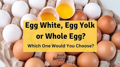 Egg White, Egg Yolk or Whole Egg? Which One Would You Choose?