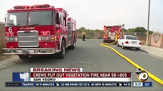 Crews put out vegetation fire near SB I-805