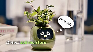 Smart Planter With Emotions Tells You What Your Plant Needs ~ PlantsIO Ivy