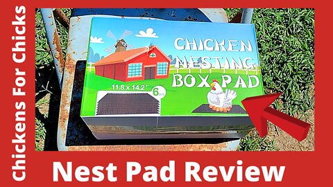 Complete Black Nesting Pads Review