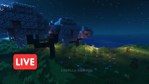 Moonlite Cherry Blossom Trees with Acoustic Guitar to Relax, Study, or Sleep | Minecraft Ambience