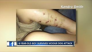 Dog attacks 6-year-old boy