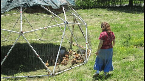 Fun with the Geodesic Chicken Coop