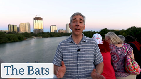 Discover Austin: The Bats - Episode 41