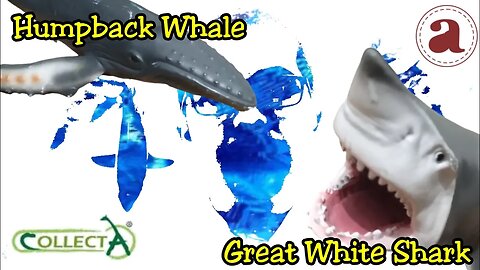 Review 2 Cota-figure Collecta: Humpback Whale and Great White Shark, kok ada yang karatan!