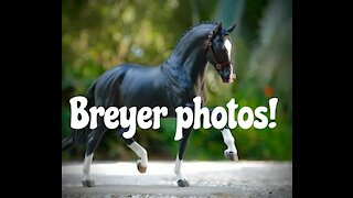 Breyer model horse photos!