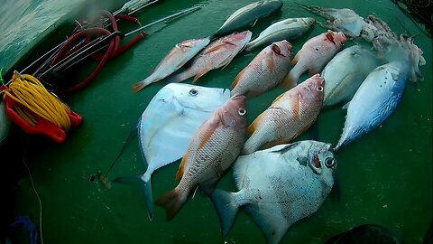 🎣 Pesca Sub em Apneia na Ilha de Itamarcá-PE 🌊🐟 #pescasub #pescasubmarina #spearfishing