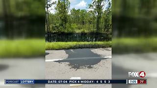 Illegal oil dumping under investigation in Charlotte County