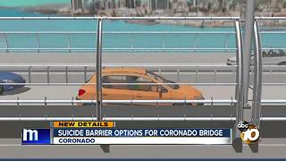 Suicide barrier options for Coronado Bridge