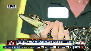 Celebrate Earth Day at the Conservancy of Southwest Florida - 7am live report