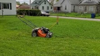 Guy figures out the laziest way to mow a lawn