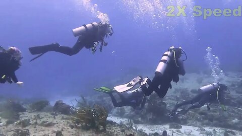 Cozumel Dive 4