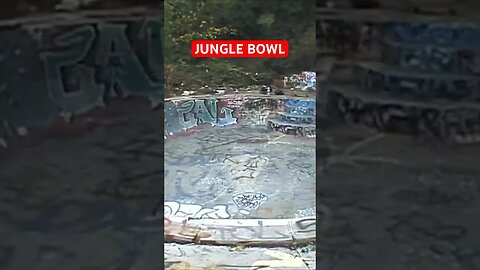 Most Hidden Pool In LA: Jungle Bowl