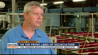 FAU Harbor Branch works to resolve world's fish sustainability problem