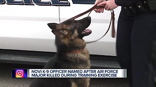 Newest member of the Novi Police K9 unit honors fallen hero