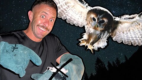 I just Hand-fed a Wild Owl, Here’s How.
