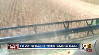 Hot, dry fall weather forcing farmers to harvest early