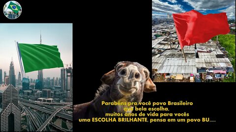 POVO IGNORANTE, MERECE UM GOVERNO QUE LHE TIRE TUDO, E MAIS UM POUCO PARABÉNS BRASIL, FELICIDADES