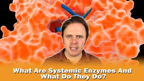 What Are Systemic Enzymes And What Do They Do?