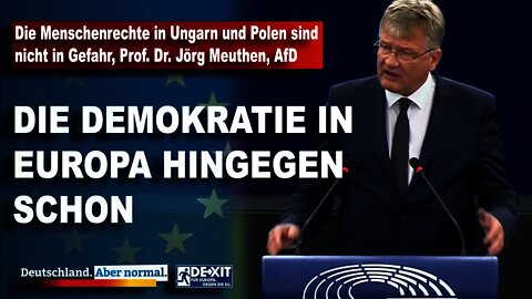 Die Menschenrechte in Ungarn und Polen sind nicht in Gefahr, Prof. Dr. Jörg Meuthen, AfD