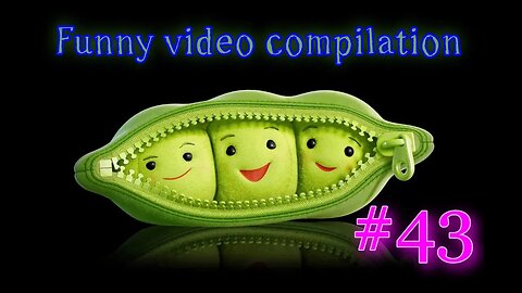 Funny video compilation #43