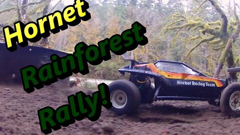 Tamiya Hornet Rainforest Rally
