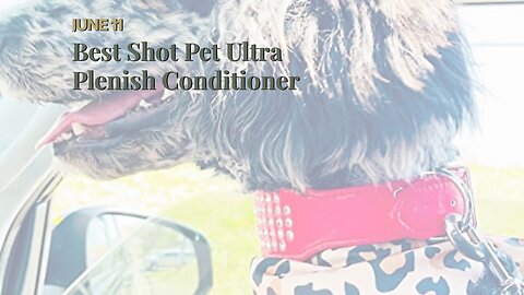 Best Shot Pet Ultra Plenish Conditioner