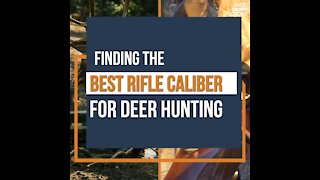 What's the Best Rifle Caliber for Deer?