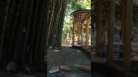 Pergolado II dois no Parque da Água Branca Zona Oeste da Capital São Paulo