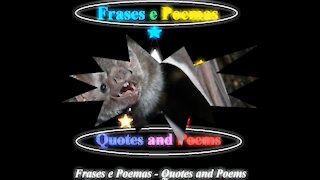 You are really a bat: Lives sleeping all day, is ugly! [Quotes and Poems]